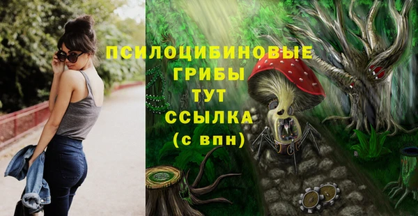 мет Козельск