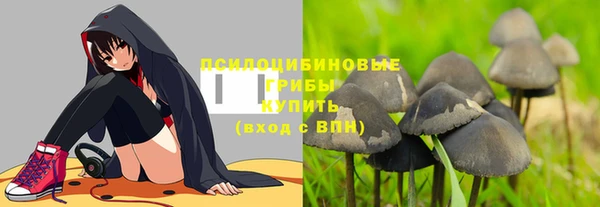 мяу мяу кристалл Козловка