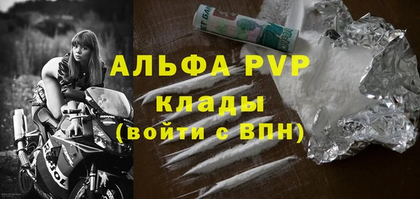 стаф Карпинск