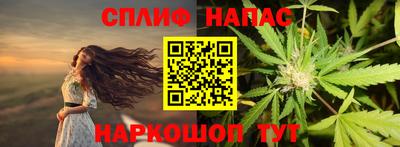 альфа пвп Владикавказ