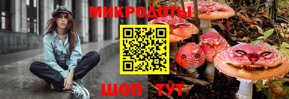 Галлюциногенные грибы GOLDEN TEACHER  Вход с VPN  Псилоцибиновые грибы MAGIC MUSHROOMS  наркота  Бутурлиновка 